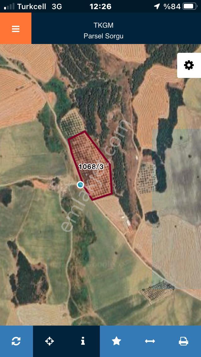 Şarköy De Işık Emlaktan İstiklal Mah De 14500 M2 Cevizlik - Görsel 29