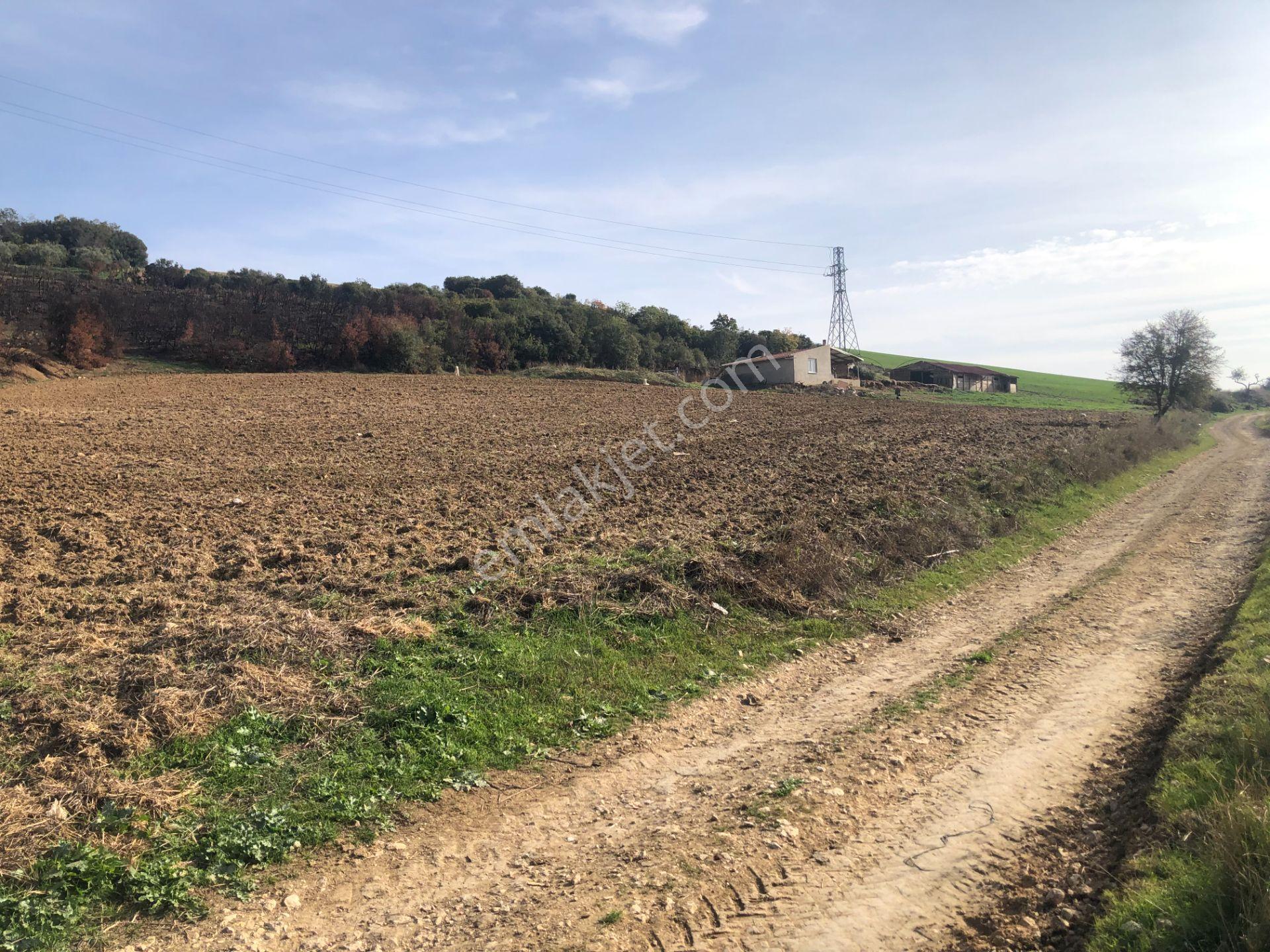 Şarköy De Işık Emlaktan İstiklal Mah De 14500 M2 Cevizlik - Görsel 27