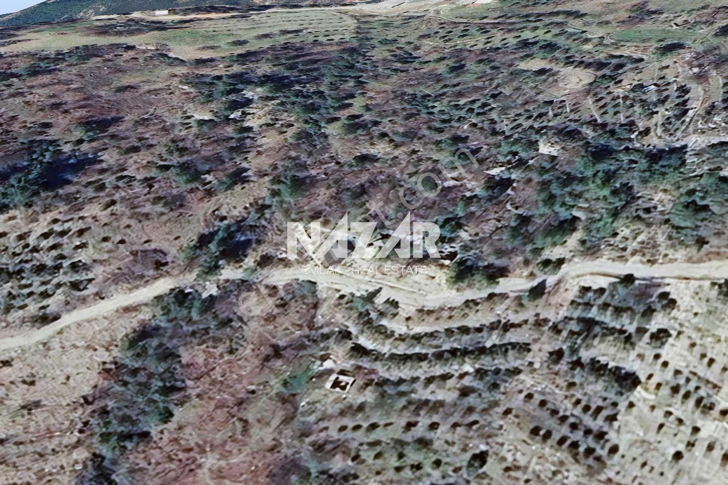 Alanya Yaylakonak’ta 296 M² Satılık Tarla - Görsel 14