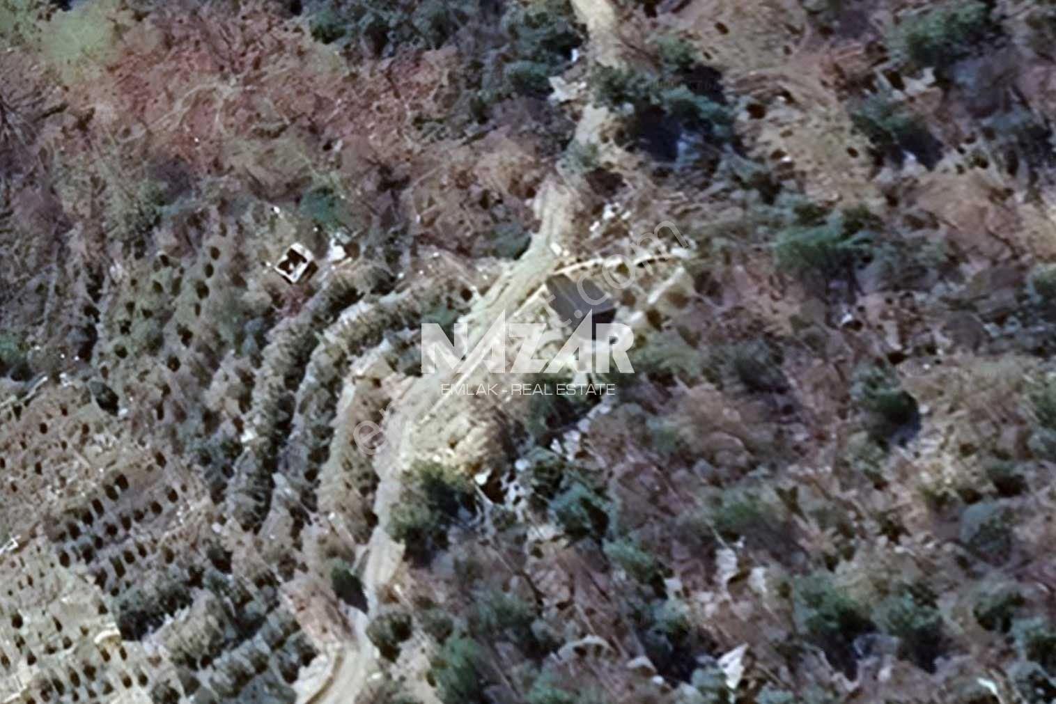 Alanya Yaylakonak’ta 296 M² Satılık Tarla - Görsel 9