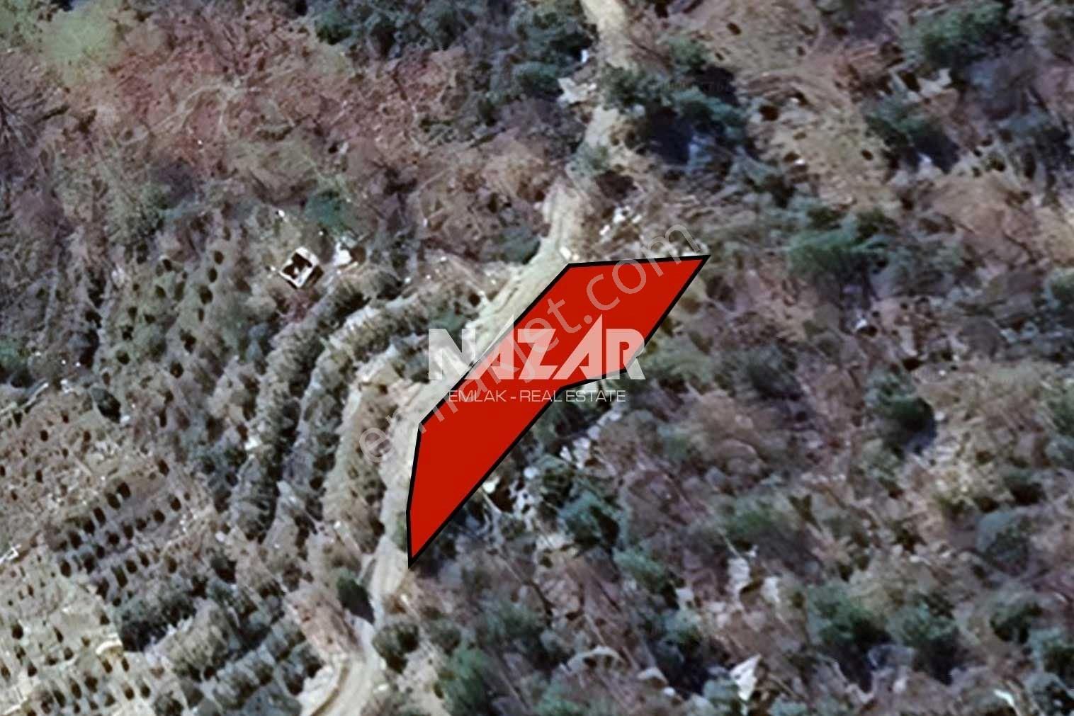 Alanya Yaylakonak’ta 296 M² Satılık Tarla - Görsel 4