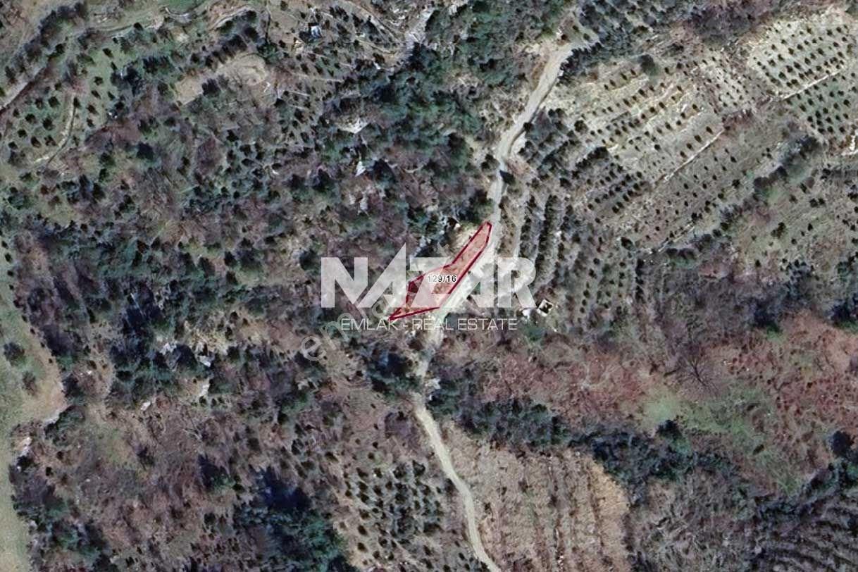 Alanya Yaylakonak’ta 296 M² Satılık Tarla - Görsel 8