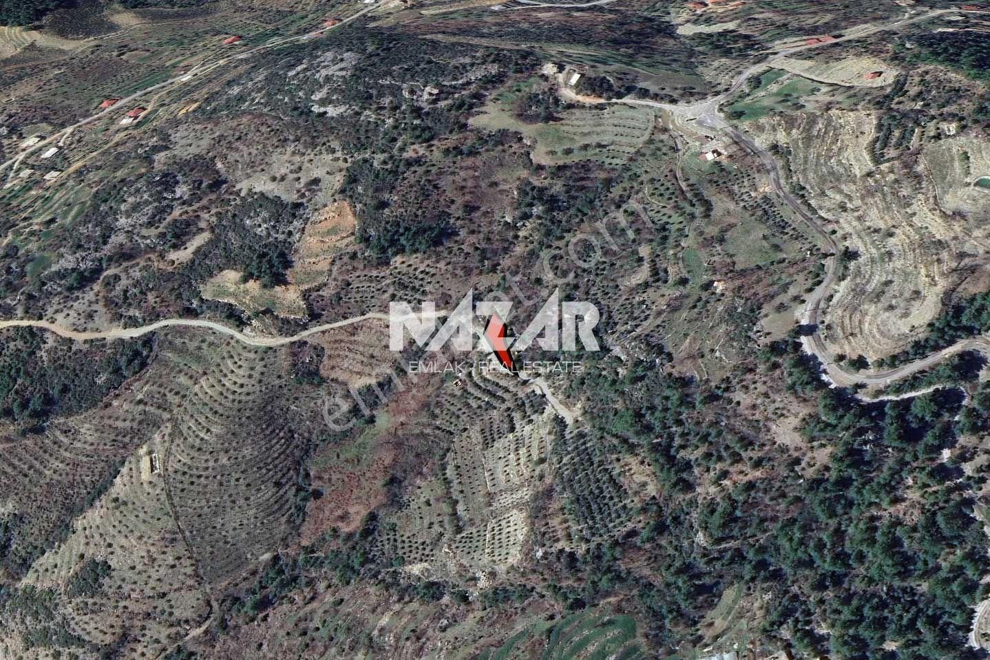 Alanya Yaylakonak’ta 296 M² Satılık Tarla - Görsel 5