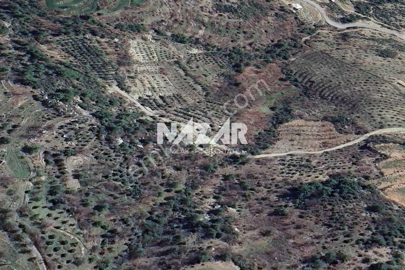 Alanya Yaylakonak’ta 296 M² Satılık Tarla - Görsel 12