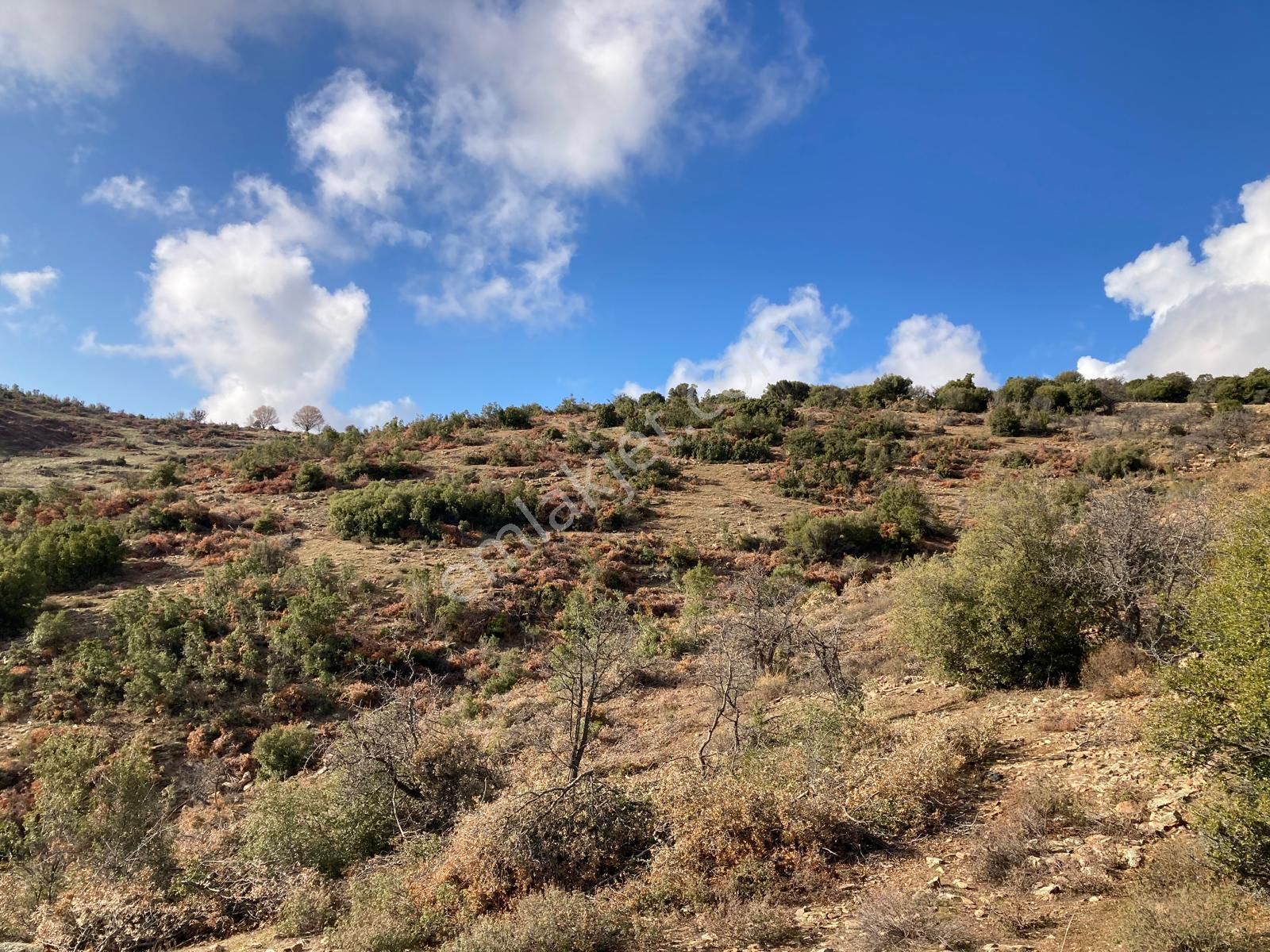 Yaylada Boş Tarla 53.300 M2 Aydın Karacasu - Görsel 8