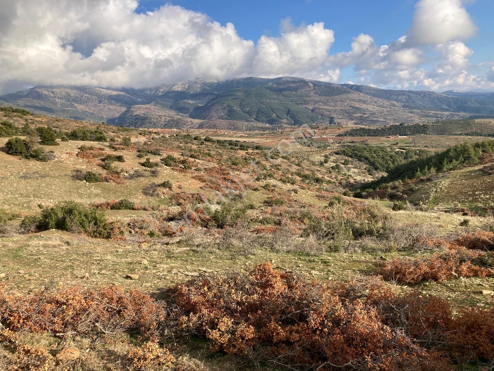 Yaylada Boş Tarla 53.300 M2 Aydın Karacasu - Görsel 9