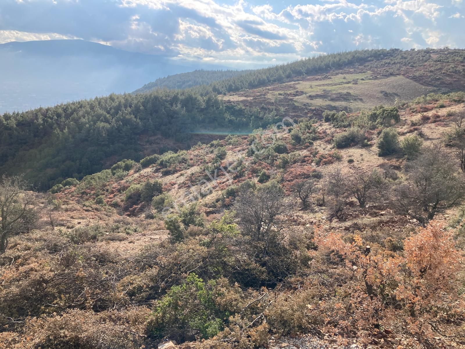Yaylada Boş Tarla 53.300 M2 Aydın Karacasu - Görsel 10