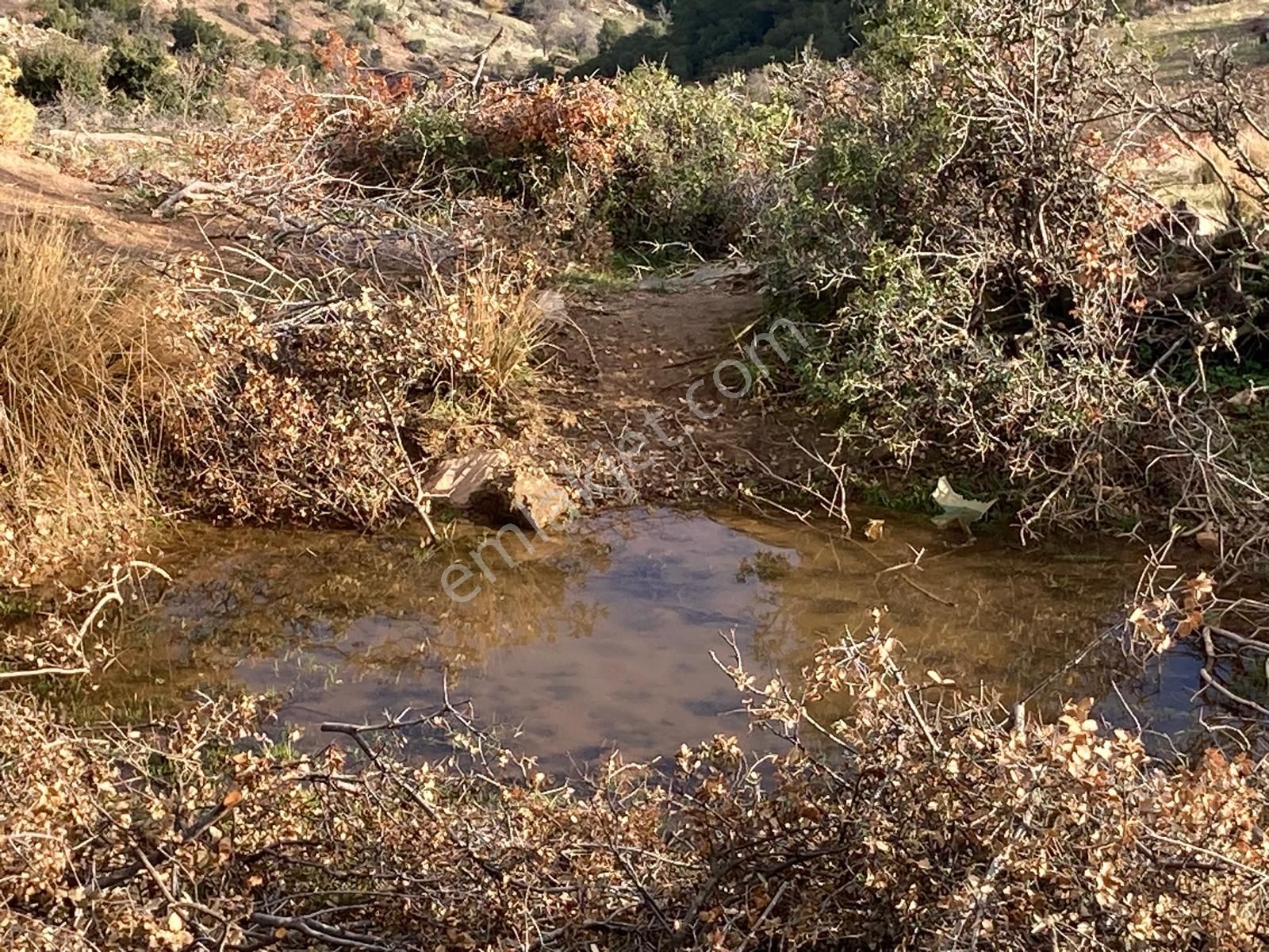 Yaylada Boş Tarla 53.300 M2 Aydın Karacasu - Görsel 13