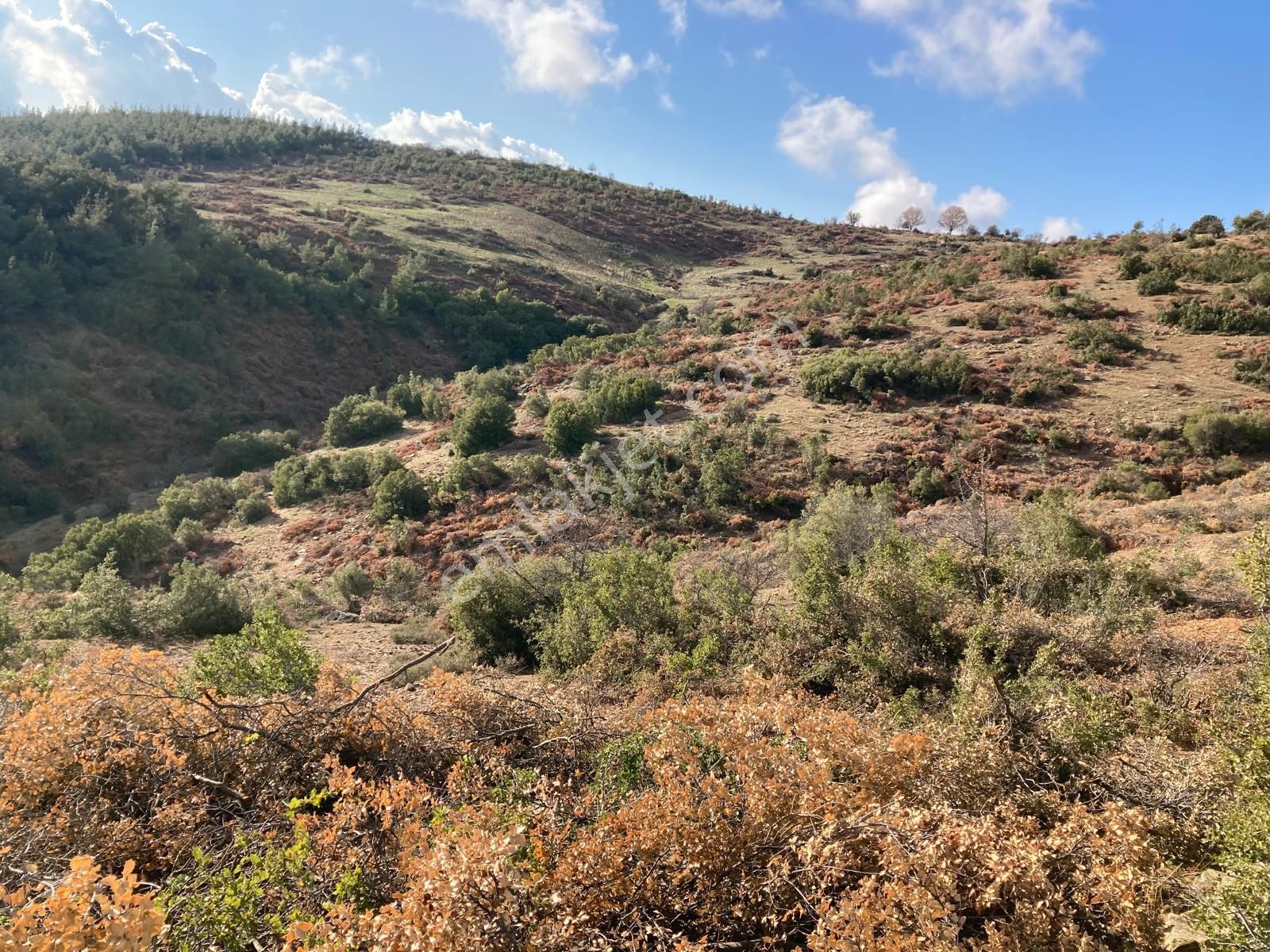Yaylada Boş Tarla 53.300 M2 Aydın Karacasu - Görsel 7