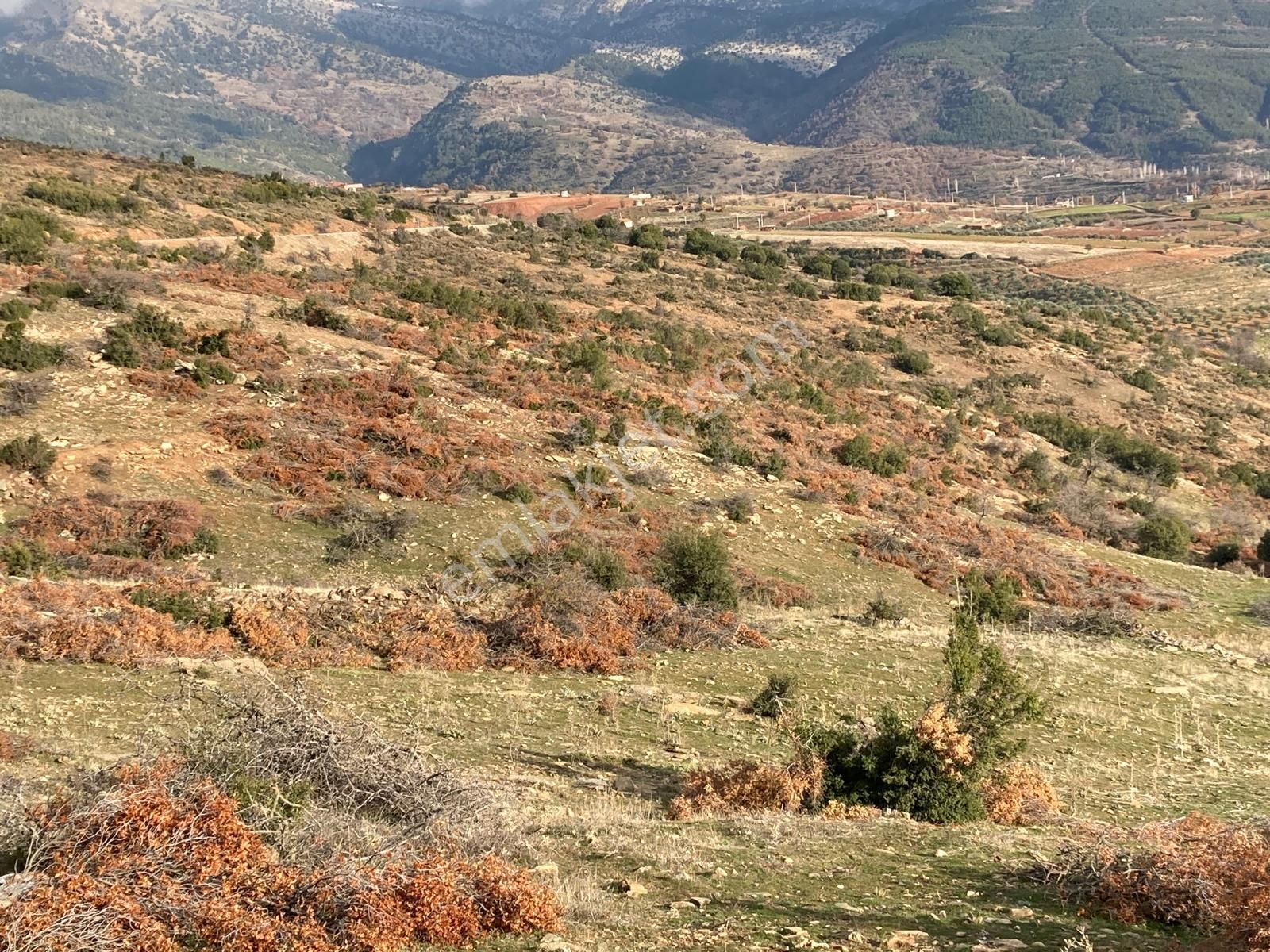 Yaylada Boş Tarla 53.300 M2 Aydın Karacasu - Görsel 5