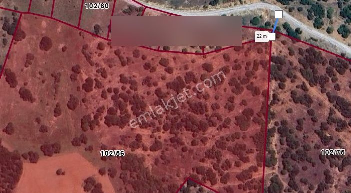 Yaylada Boş Tarla 53.300 M2 Aydın Karacasu - Görsel 15