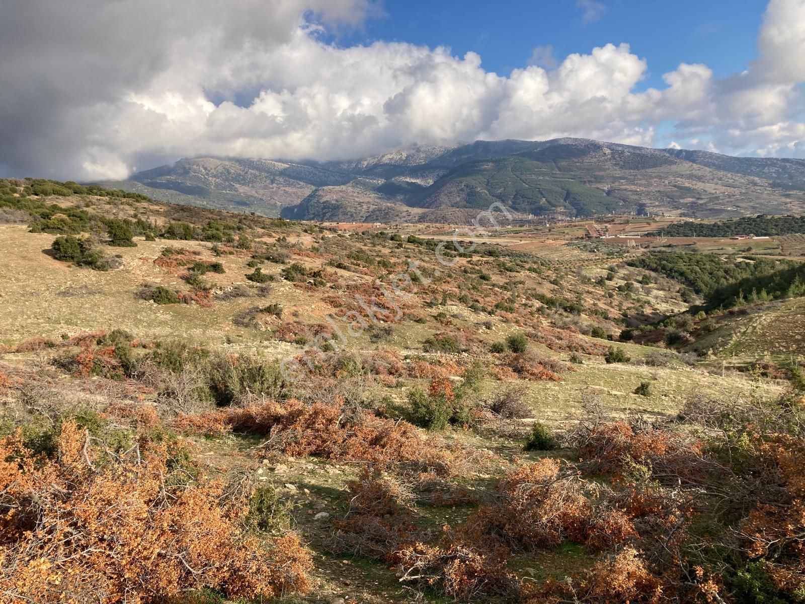 Yaylada Boş Tarla 53.300 M2 Aydın Karacasu