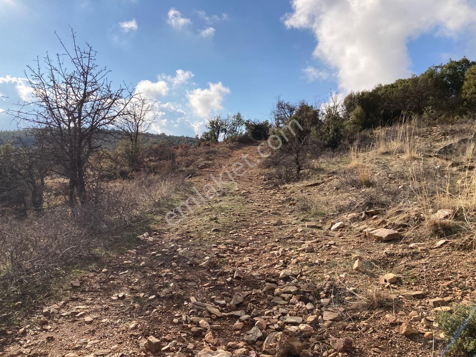 Yaylada Boş Tarla 53.300 M2 Aydın Karacasu - Görsel 11