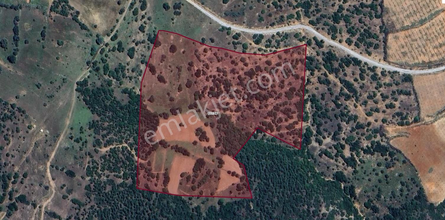 Yaylada Boş Tarla 53.300 M2 Aydın Karacasu - Görsel 14