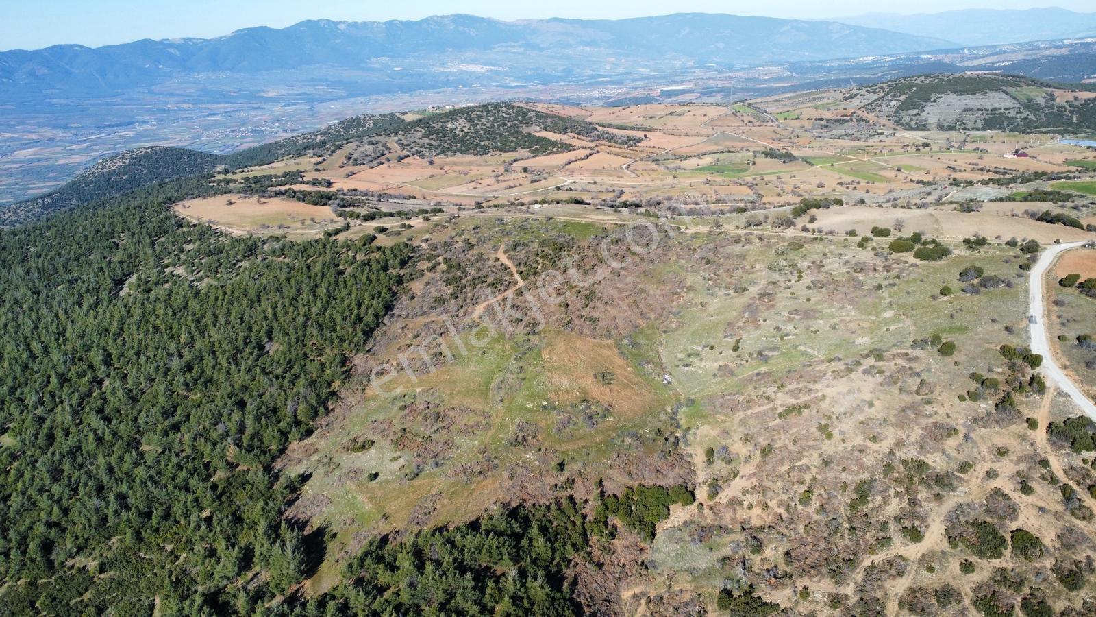Acil Satılık Yaylada Boş Tarla 53.300 M2 Aydın Karacasu - Görsel 15