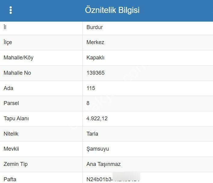 Burdur Merkez Kapaklı Köyünde Yatırımlık Ana Yola Cepheli Tarla - Görsel 2