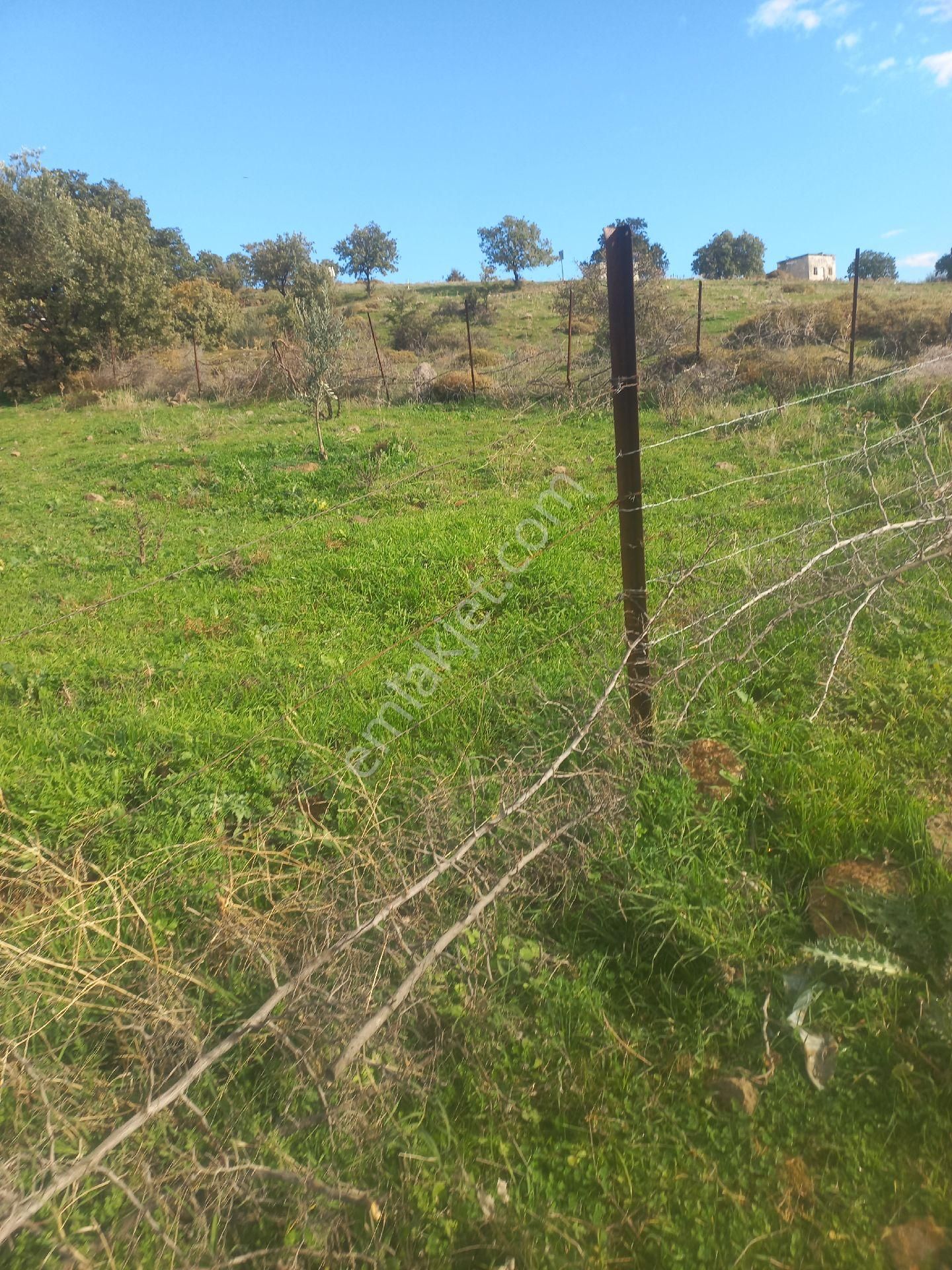 Satılık Müstakiltapu - Görsel 9