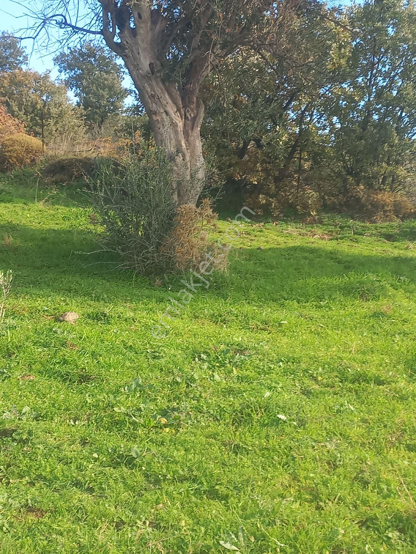 Satılık Müstakiltapu - Görsel 20