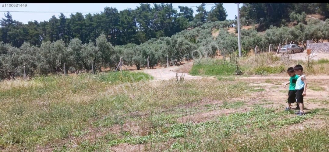 Ağabey Gayrimenkul'den Yayla Mahallesinde Satılık Arsa - Görsel 2