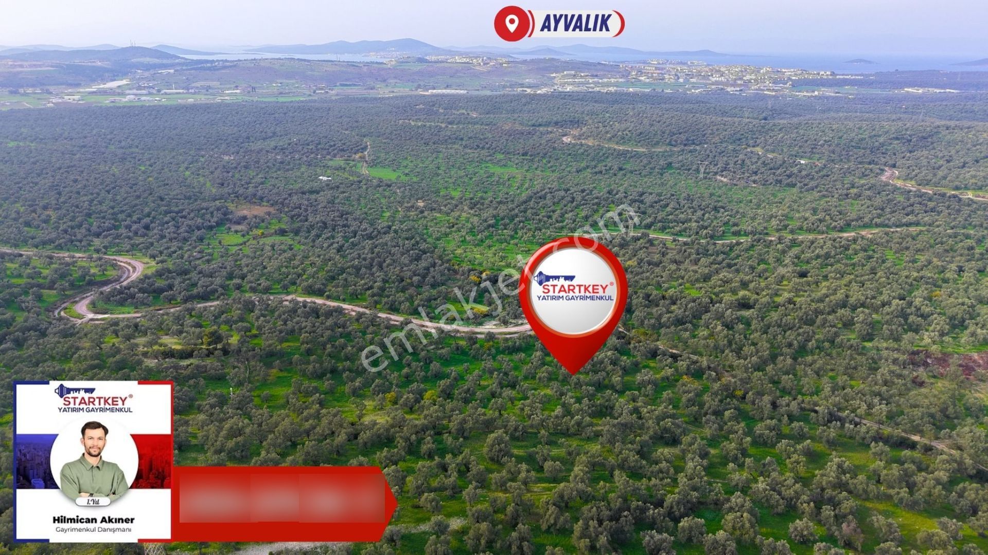 Ayvalık Kazımkarabekir Kaçırılmayacak 42 Dönüm Zeytinlik - Görsel 6