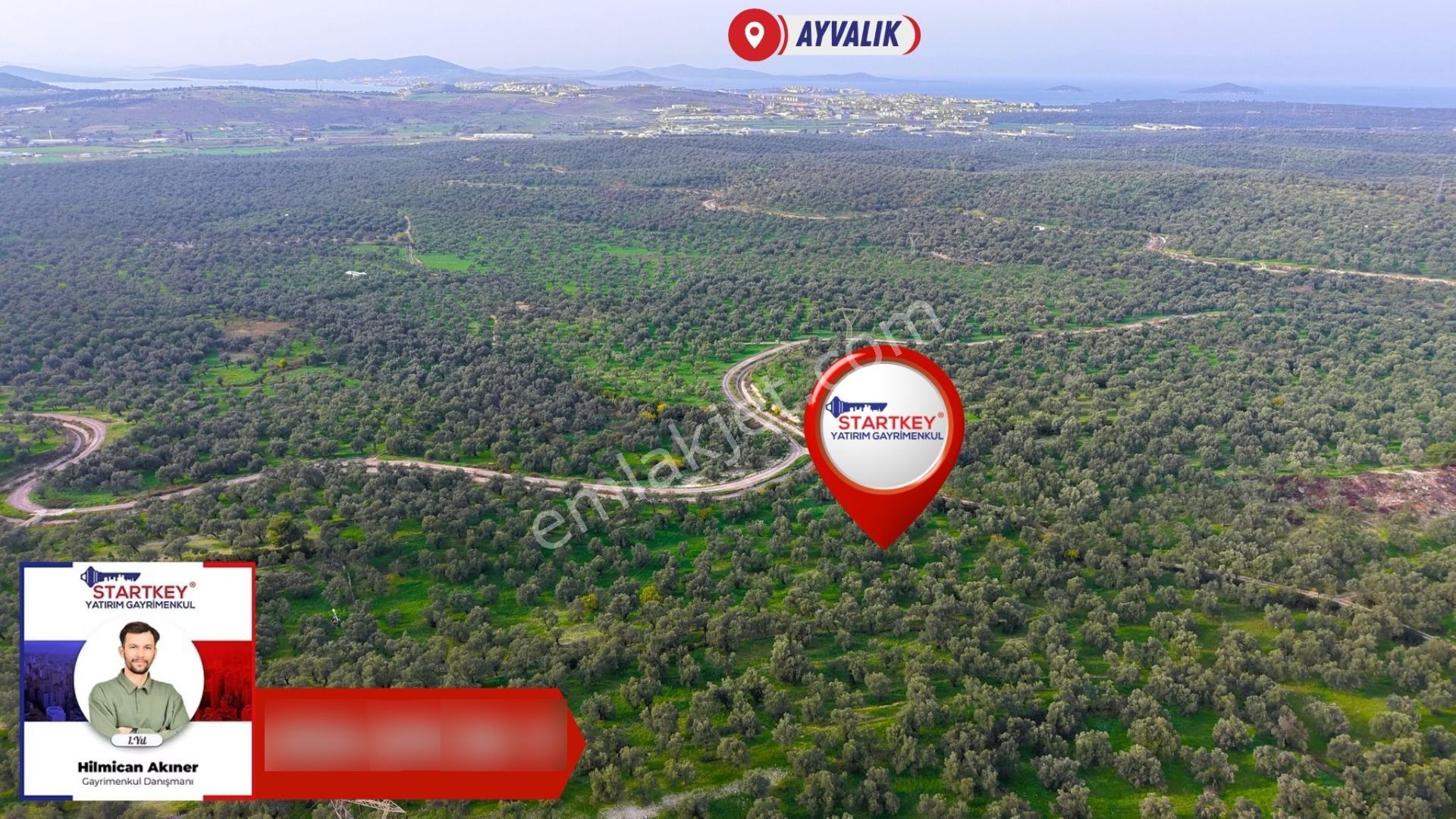 Ayvalık Kazımkarabekir Kaçırılmayacak 42 Dönüm Zeytinlik - Görsel 4