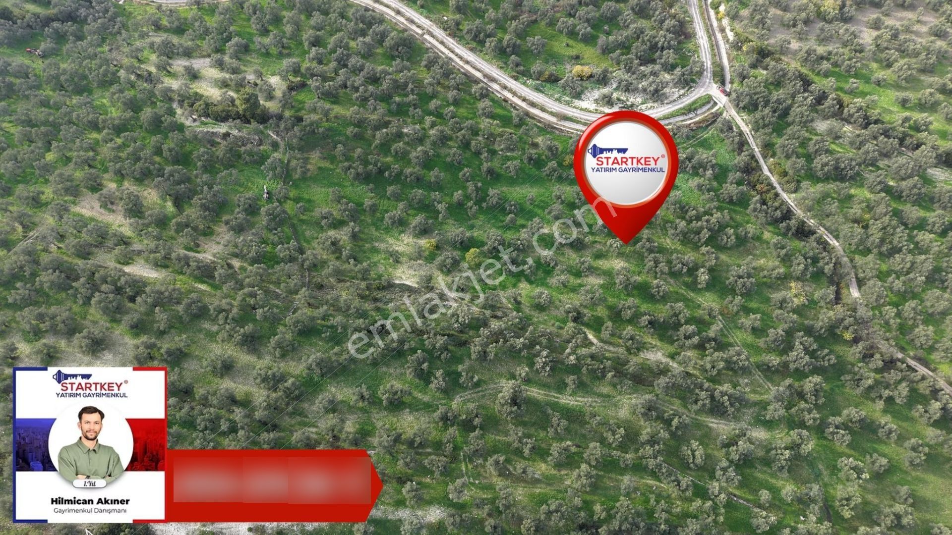 Ayvalık Kazımkarabekir Kaçırılmayacak 42 Dönüm Zeytinlik - Görsel 2