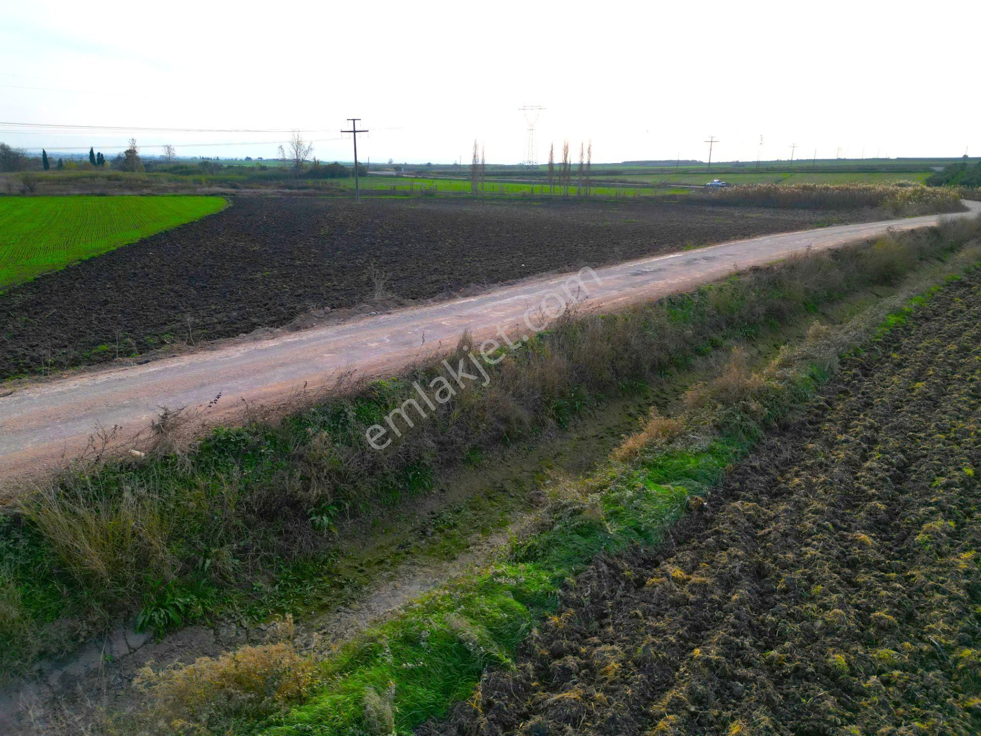 |karacabey| Harika Konumda Yol Su Elektrik Olan Yatırımlık Arazi! - Görsel 19