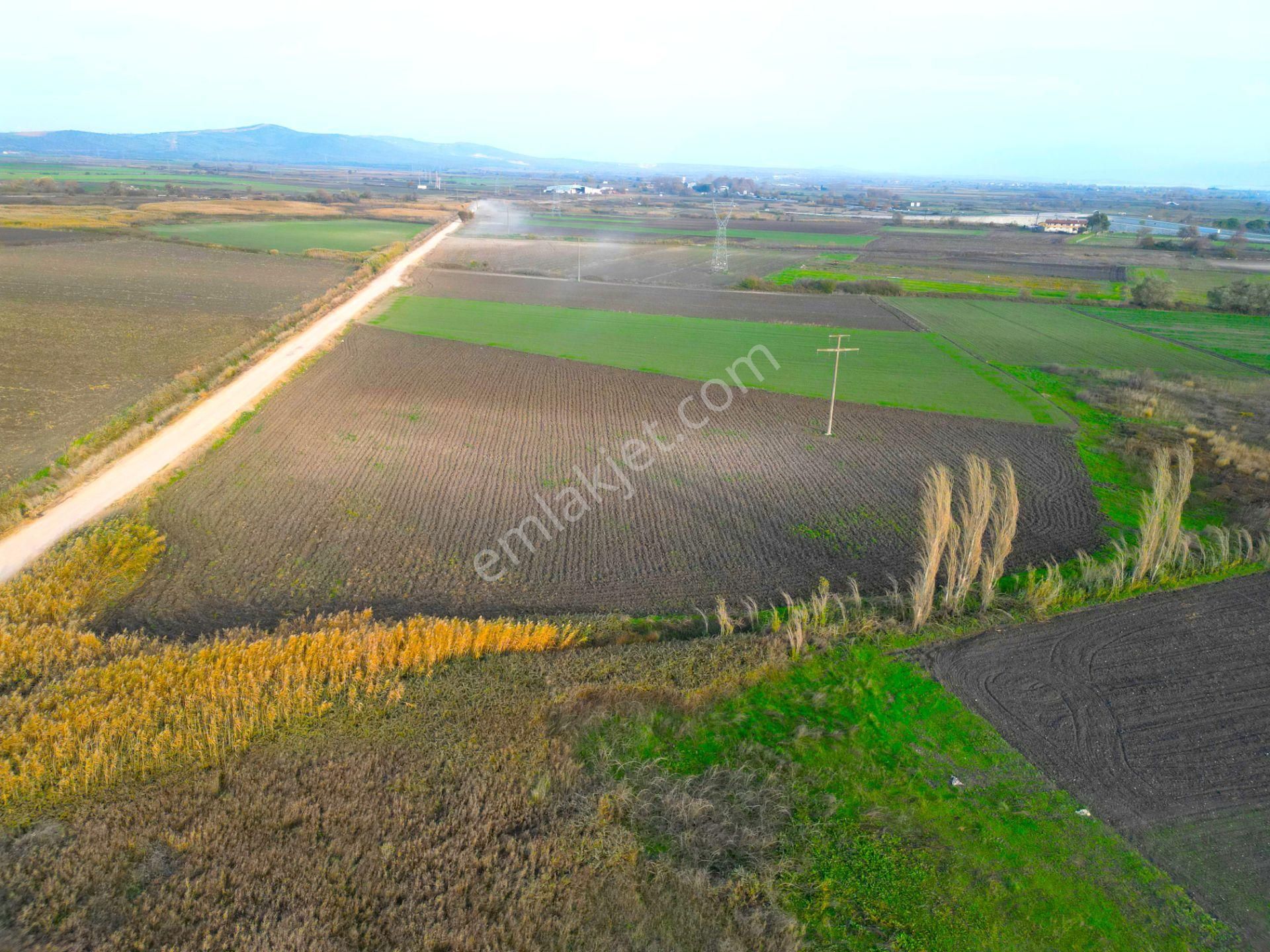 |karacabey| Harika Konumda Yol Su Elektrik Olan Yatırımlık Arazi! - Görsel 12