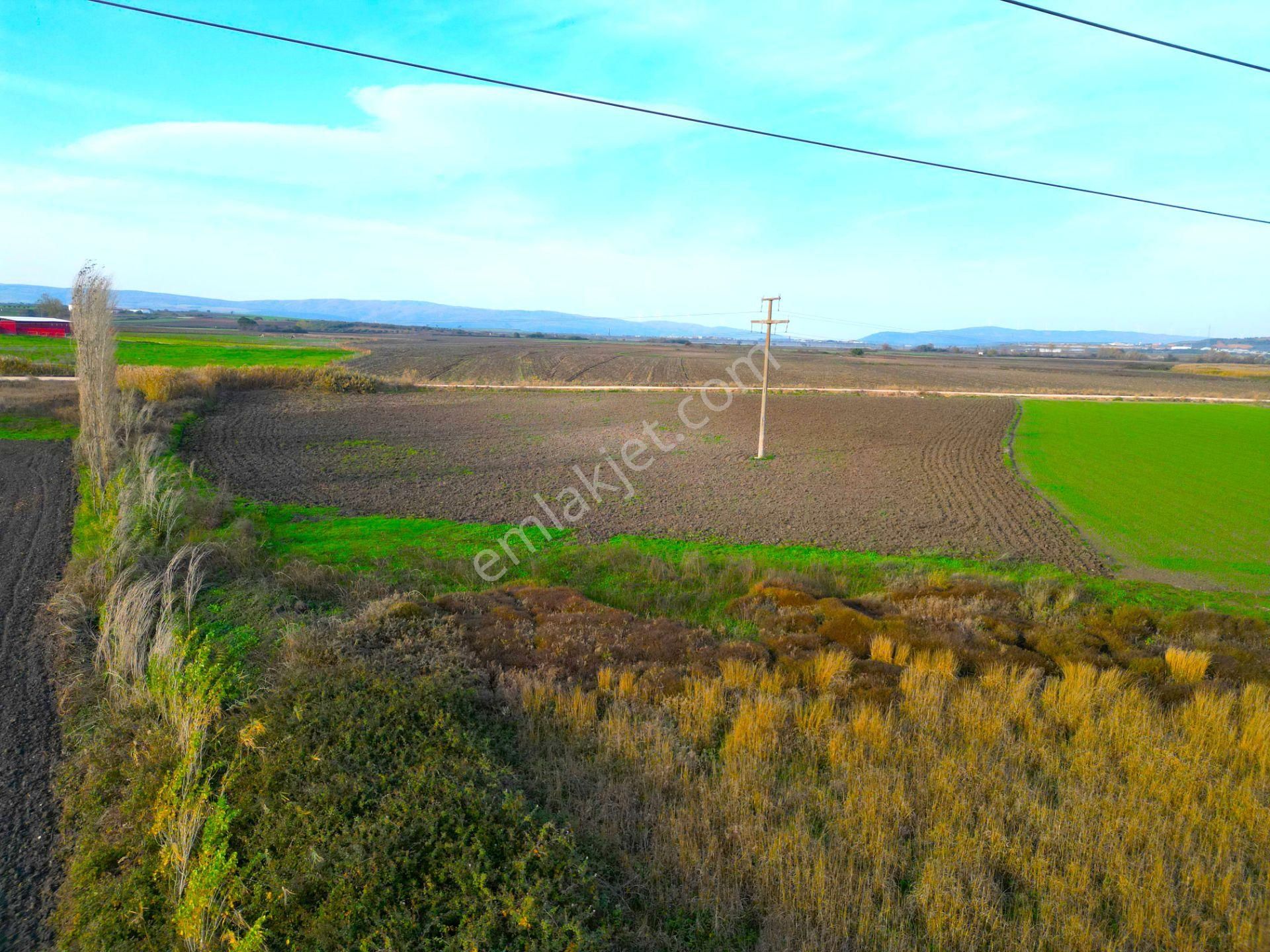 |karacabey| Harika Konumda Yol Su Elektrik Olan Yatırımlık Arazi! - Görsel 21