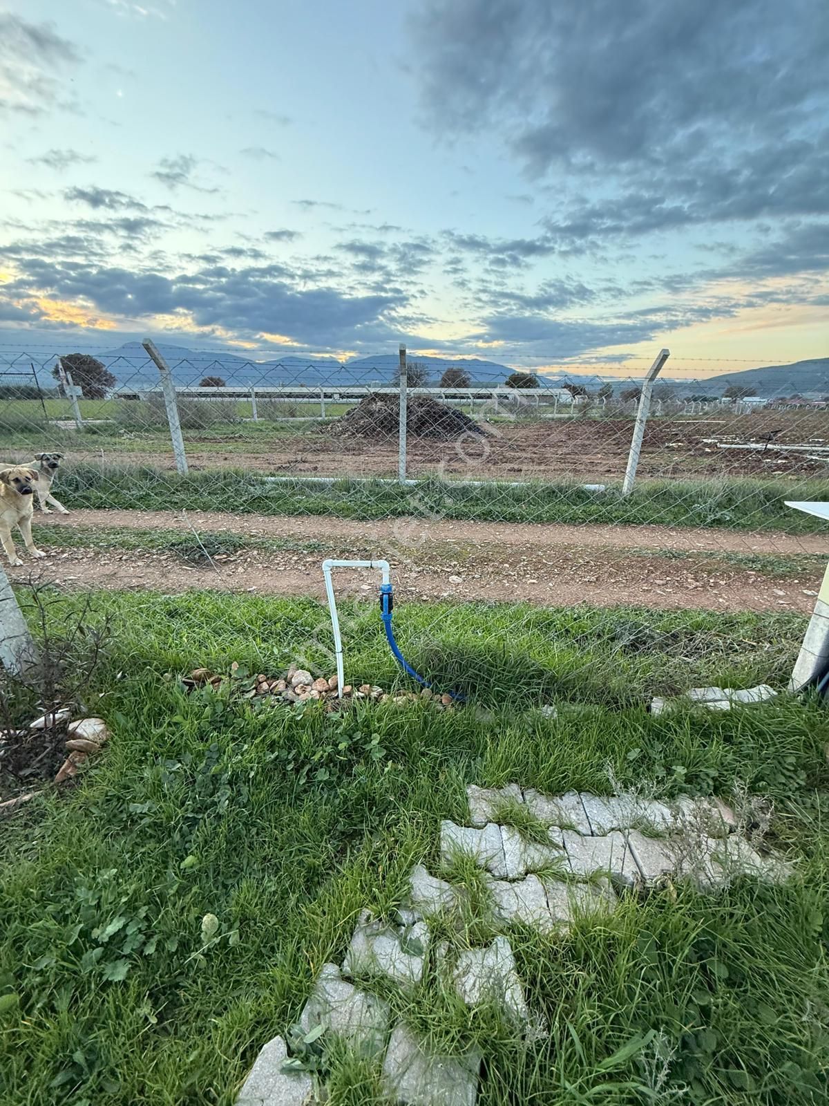 Menderes Çakaltepe Pınardere Mevkiinde 1720m2 Satılık Arazi - Görsel 7