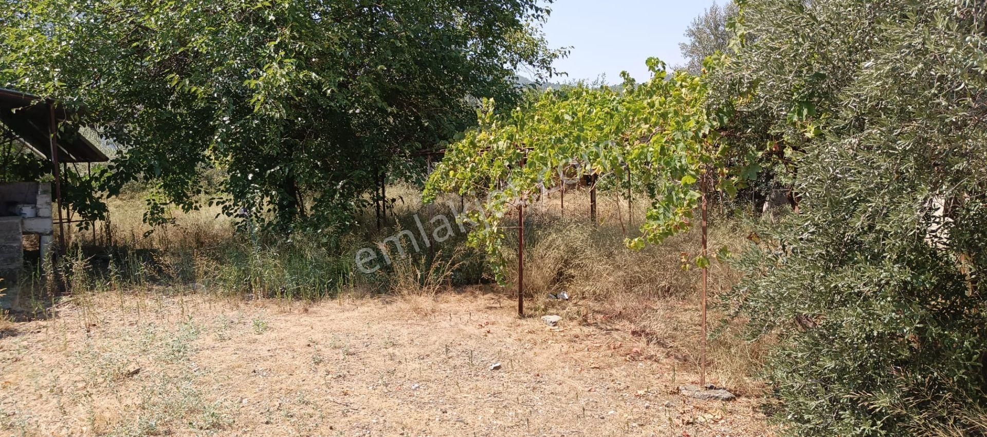 Stop’tan Dalaman Kargınkürü *421 M2 Satılık Tarla* - Görsel 7