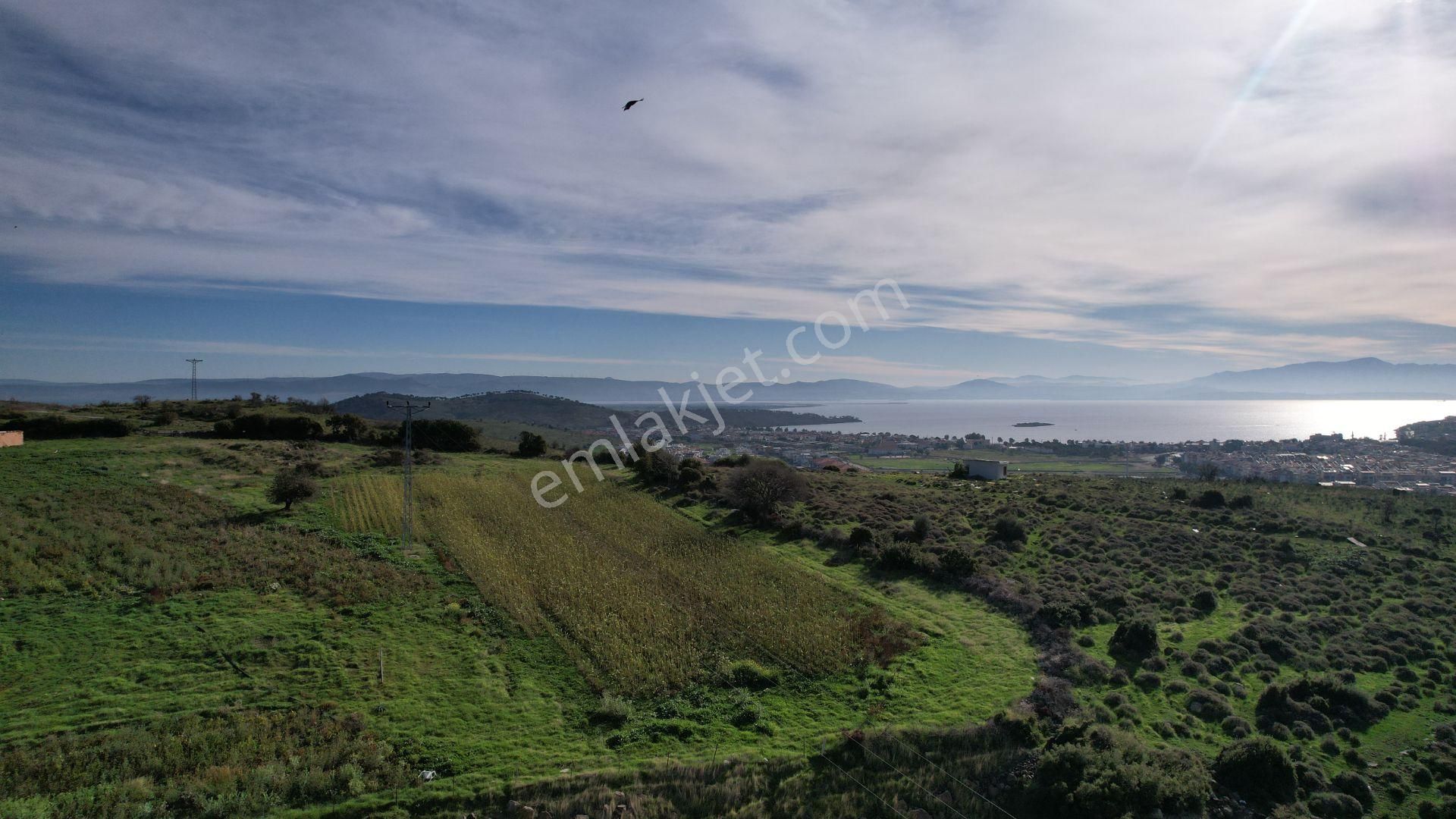 Egenin İncisi Çandarlı Merkezde Deniz Manzaralı Arsa - Görsel 11