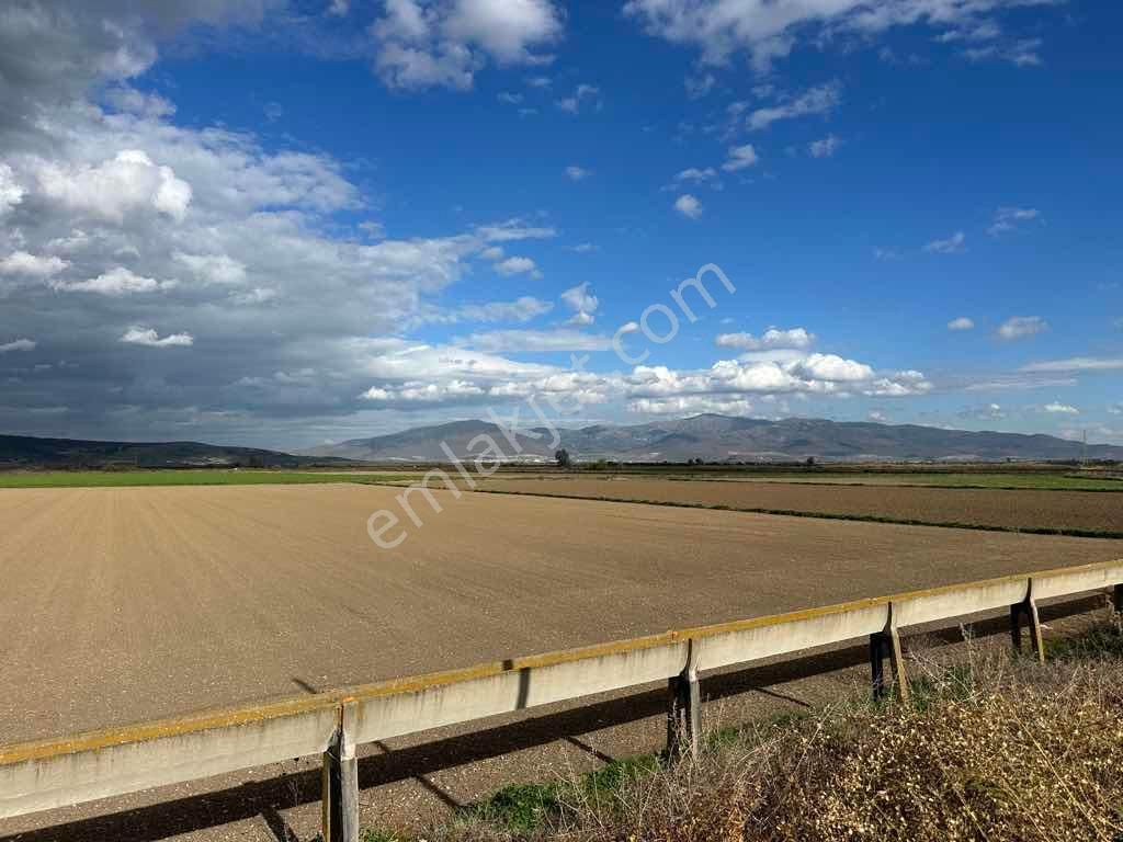 Menemen Kesikköy De Satılık Verimli Tarla - Görsel 11