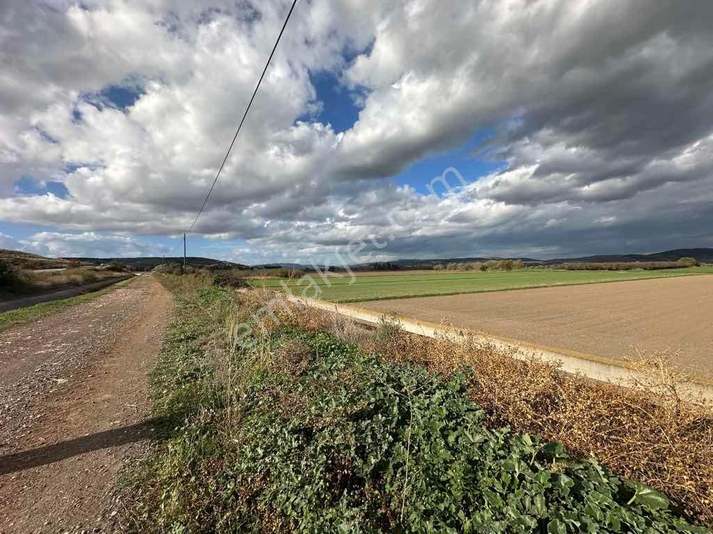 Menemen Kesikköy De Satılık Verimli Tarla - Görsel 9