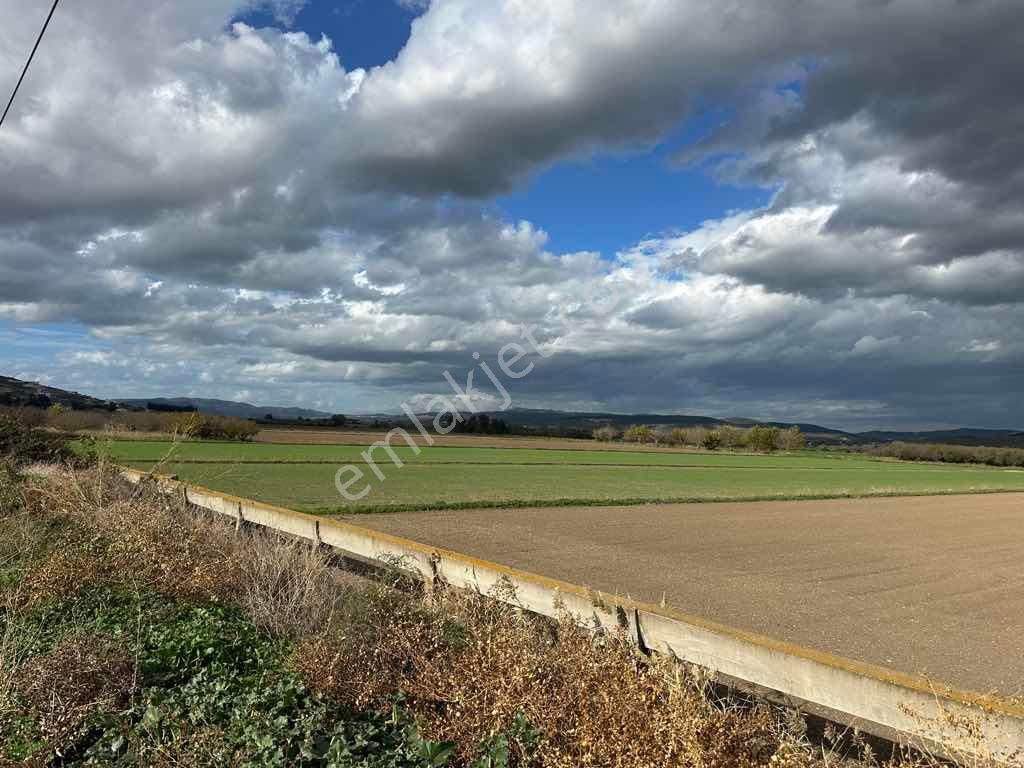 Menemen Kesikköy De Satılık Verimli Tarla - Görsel 12