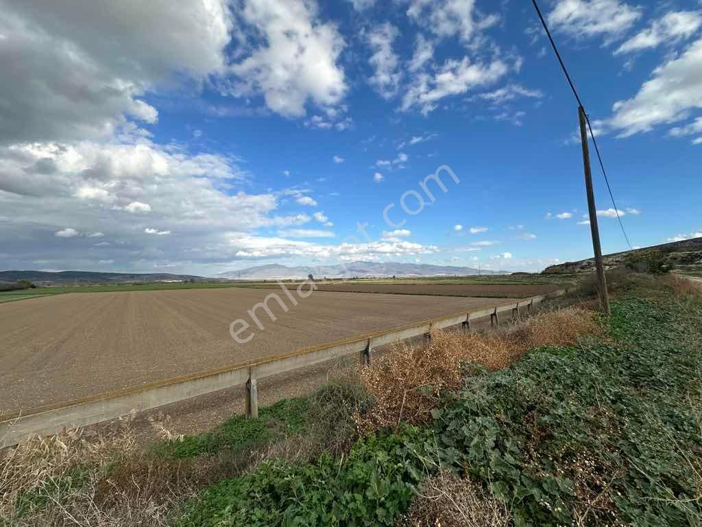 Menemen Kesikköy De Satılık Verimli Tarla - Görsel 13