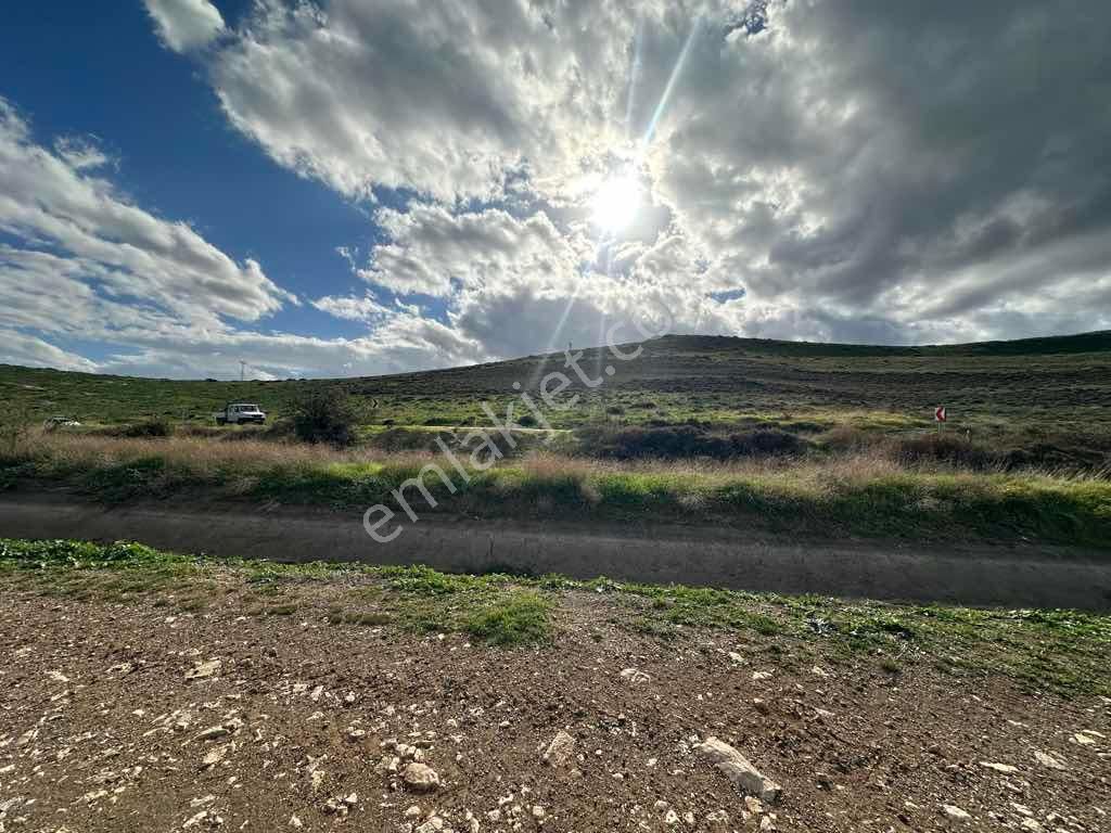 Menemen Kesikköy De Satılık Verimli Tarla - Görsel 6