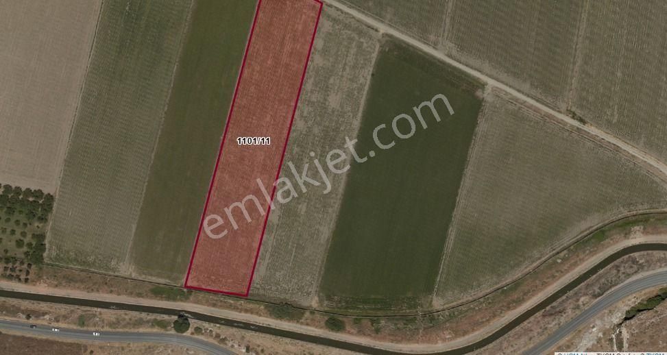 Menemen Kesikköy De Satılık Verimli Tarla - Görsel 22