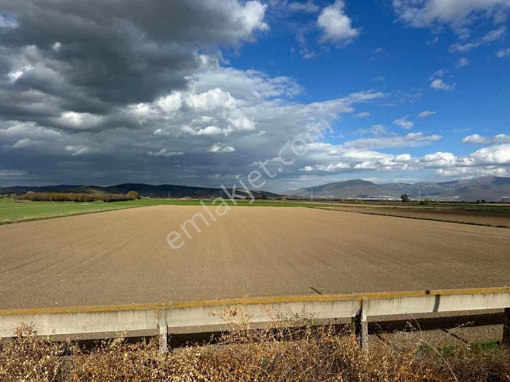 Menemen Kesikköy De Satılık Verimli Tarla - Görsel 2