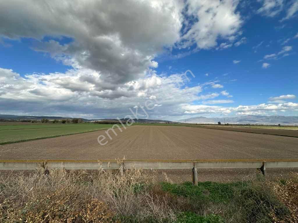 Menemen Kesikköy De Satılık Verimli Tarla - Görsel 16