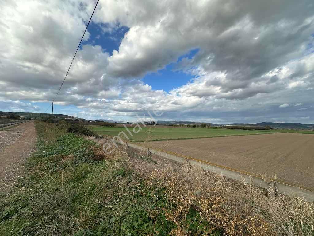 Menemen Kesikköy De Satılık Verimli Tarla - Görsel 19