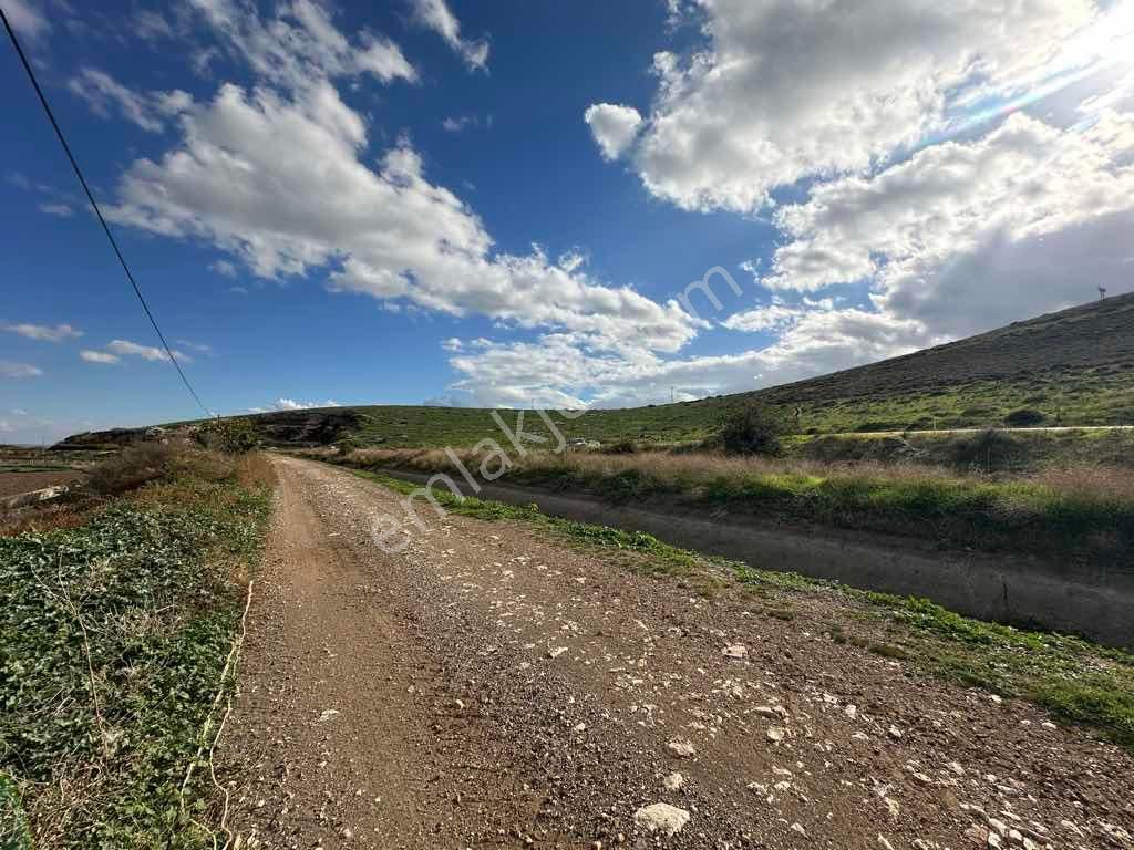 Menemen Kesikköy De Satılık Verimli Tarla - Görsel 8