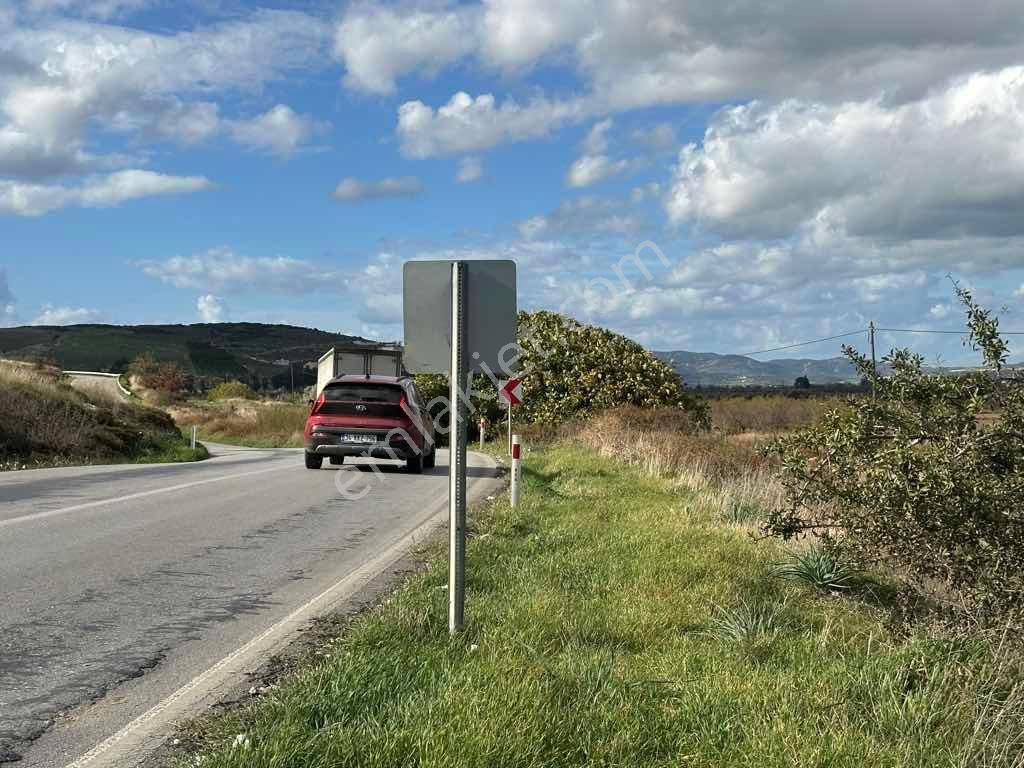 Menemen Kesikköy De Satılık Verimli Tarla - Görsel 3