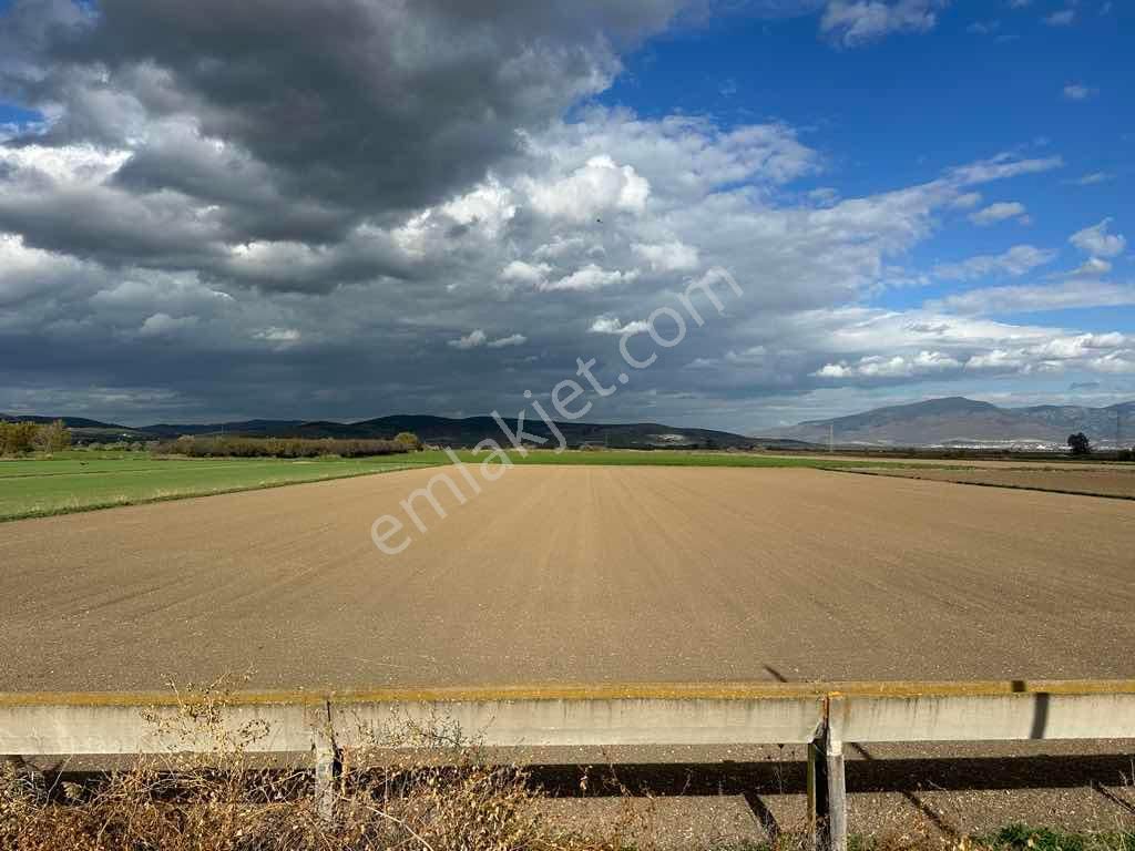 Menemen Kesikköy De Satılık Verimli Tarla - Görsel 15