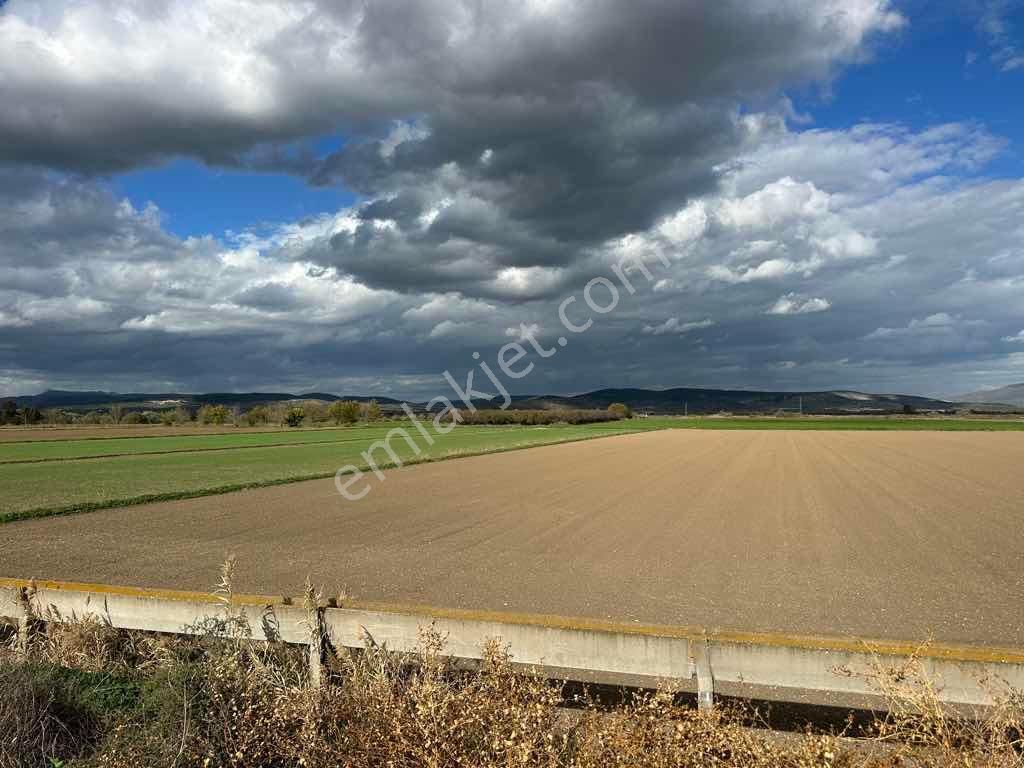 Menemen Kesikköy De Satılık Verimli Tarla - Görsel 10