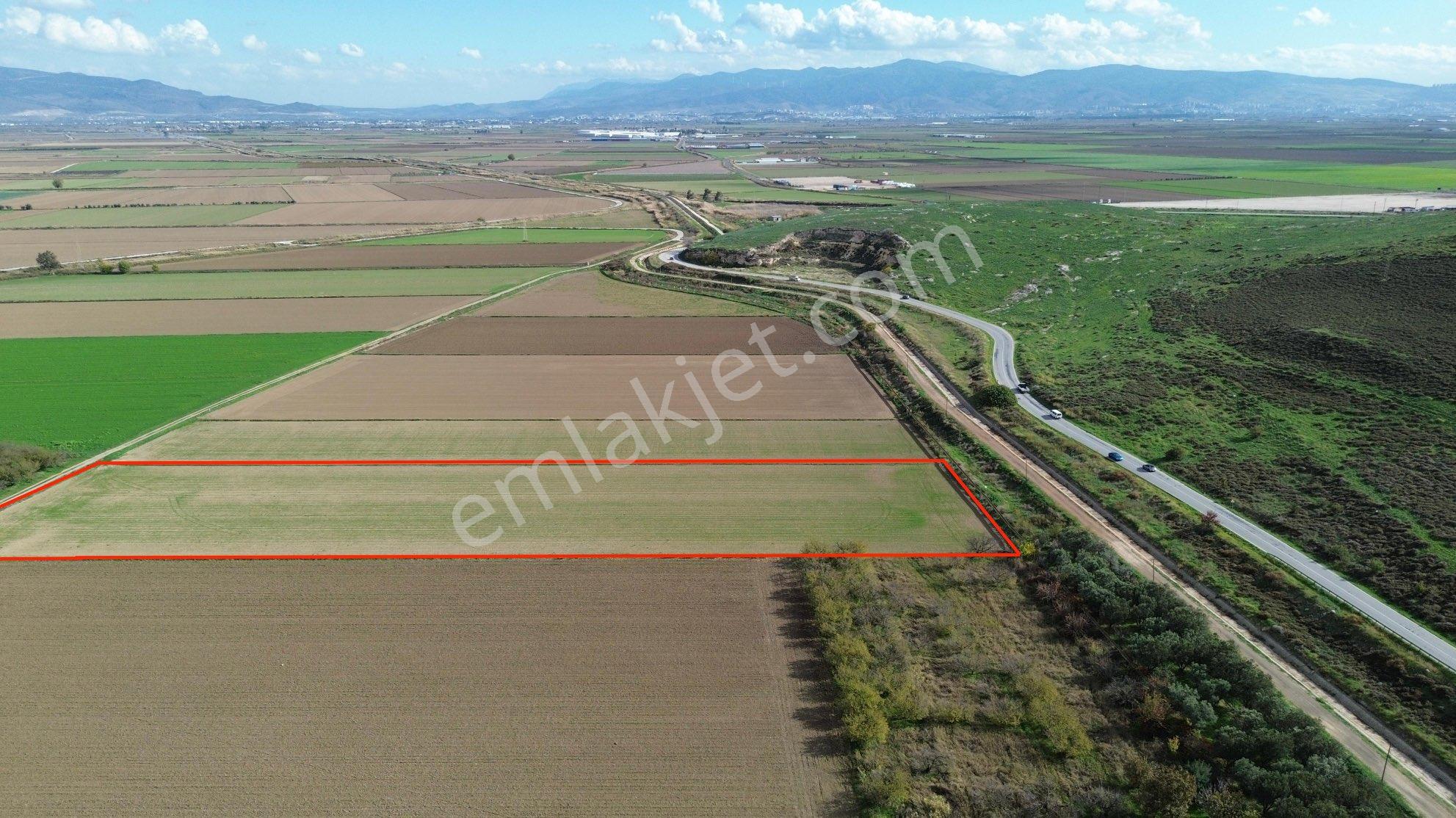 Menemen Kesikköy De Satılık Verimli Tarla - Görsel 34