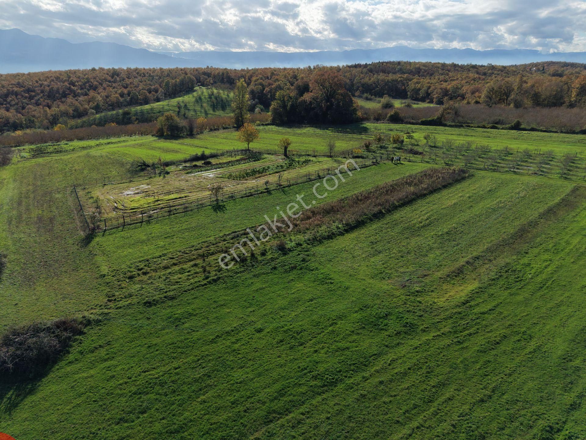 Emlakevim - Şehler Mahallesinde Satılık 980 M2 Tarla ! - Görsel 25