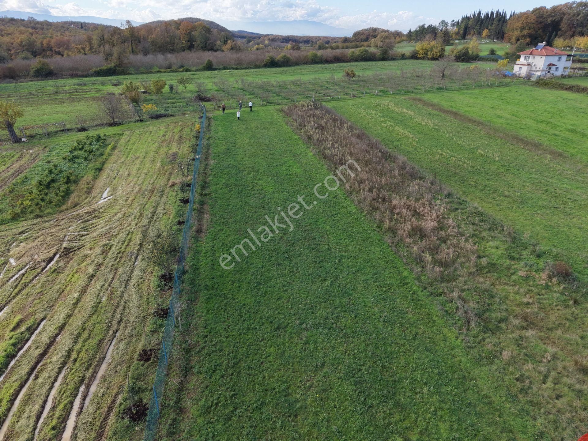 Emlakevim - Şehler Mahallesinde Satılık 980 M2 Tarla ! - Görsel 29