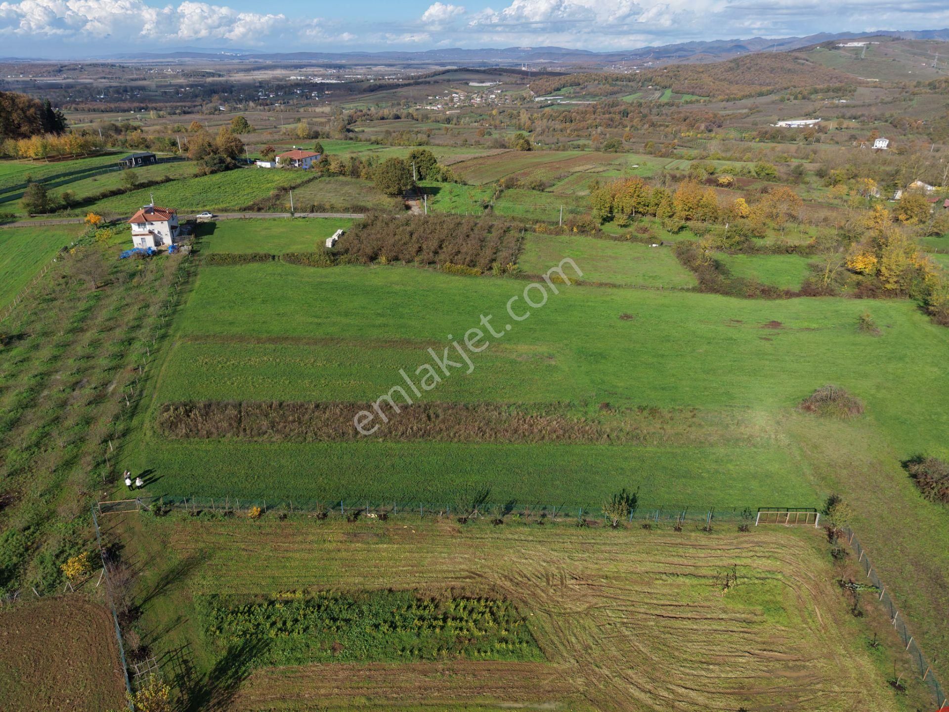 Emlakevim - Şehler Mahallesinde Satılık 980 M2 Tarla ! - Görsel 3