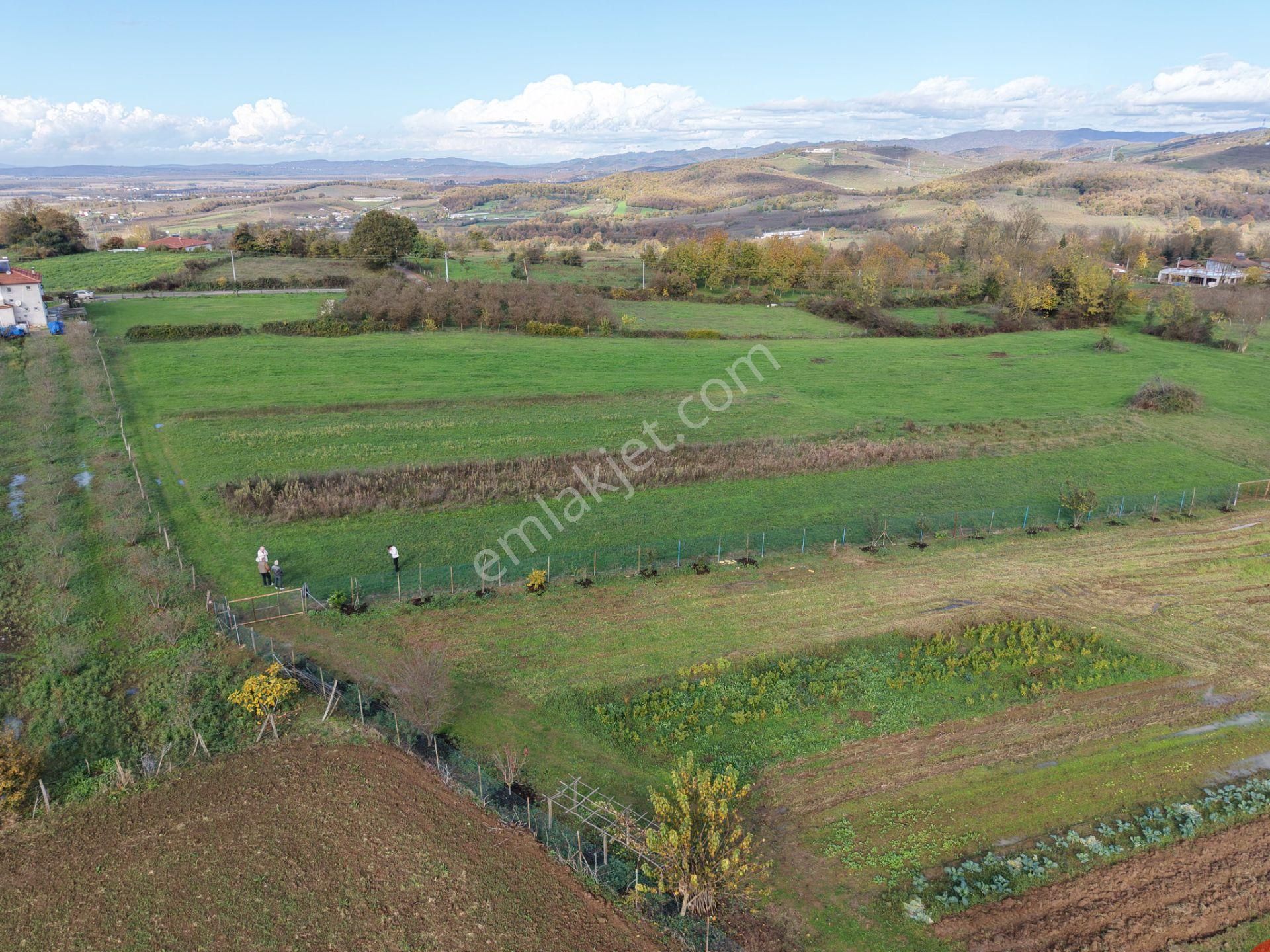 Emlakevim - Şehler Mahallesinde Satılık 980 M2 Tarla ! - Görsel 34